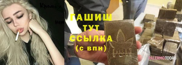 индика Карпинск