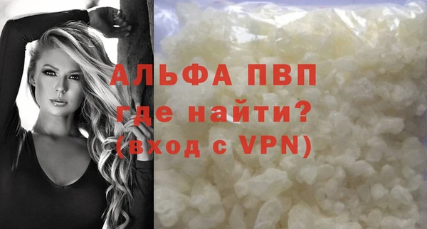СК Щигры