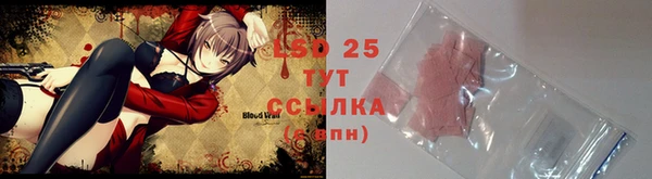 трава Гусиноозёрск