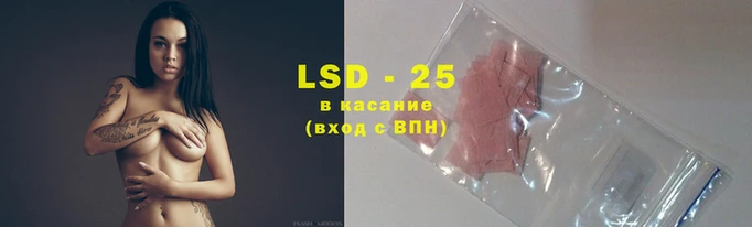 стаф Абинск