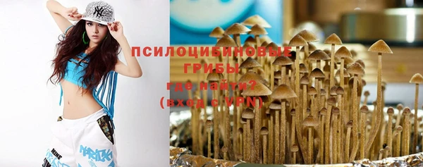 мескалин Алексин